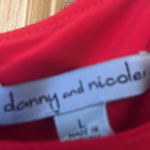 Danny & Nicole size large red tan black striped fit and flare short sleeve dress - Picture 3 of 4